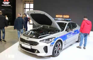 Zdjęcie 30