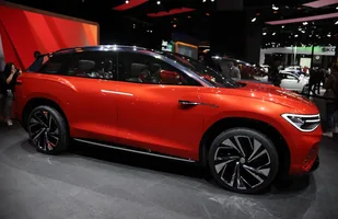 Zdjęcie 31