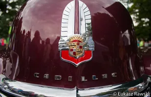 Zdjęcie 7