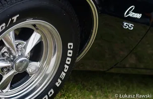 Zdjęcie 19