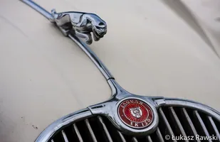 Zdjęcie 32