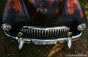 Zdjęcie 46
