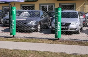 Jakie auta kupują w tym roku Polacy? — zdjęcie 1