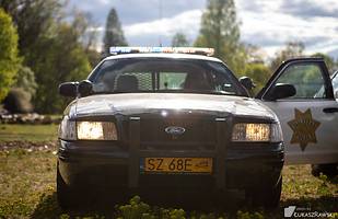 Fordy Crown Victoria w obiektywie Łukasza Rawskiego