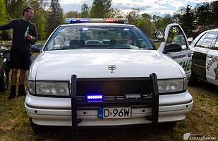 Fordy Crown Victoria w obiektywie Łukasza Rawskiego