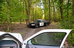 Fordy Crown Victoria w obiektywie Łukasza Rawskiego