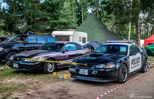 Zdjęcie 19