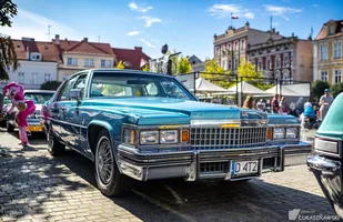 Zdjęcie 14