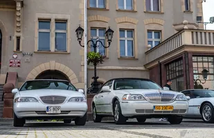 Zdjęcie 29
