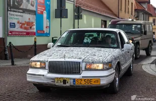 Zdjęcie 40