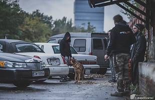 Amerykański Dolny Śląsk