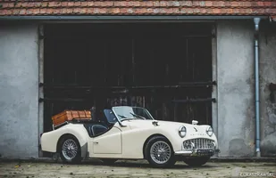 Zdjęcie 35