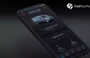 Ford polskim liderem na rynku aut dostawczych