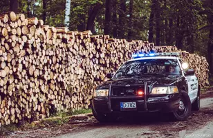 Kochacie AMcary? Zlot Olesno 2021 na zdjęciach