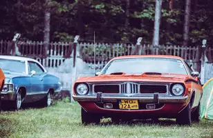 Kochacie AMcary? Zlot Olesno 2021 na zdjęciach