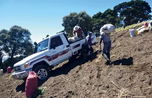 70 lat Toyoty Land Cruiser. Legenda jeszcze nie przechodzi na emeryturę!