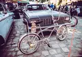 Zdjęcie 53
