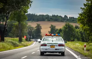 Fordy Crown Victoria w obiektywie Łukasza Rawskiego