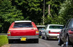 Fordy Crown Victoria w obiektywie Łukasza Rawskiego