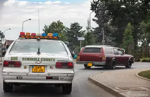 Fordy Crown Victoria w obiektywie Łukasza Rawskiego