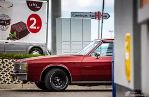 Fordy Crown Victoria w obiektywie Łukasza Rawskiego