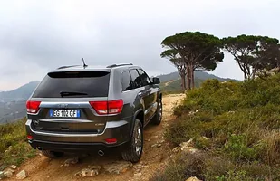 Jeep Grand Cherokee poległ na łosiu? — zdjęcie 5