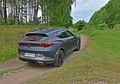 Zdjęcie 8