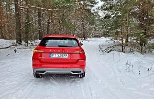 Test: Skoda Kamiq - miejski SUV to nie jest sprzeczność