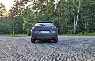 Zdjęcie 8