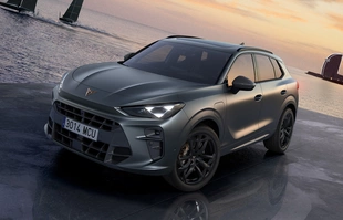 Cupra Terramar. Polskie ceny