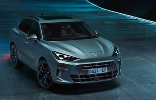 Cupra Terramar. Polskie ceny