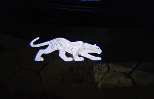 Nowy Ford Puma 2024 - technologiczny lifting