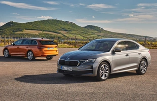 Skoda Octavia Business Edition. Nowość