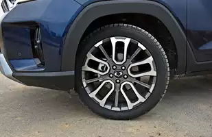 SsangYong Torres Wild 2025 - Próba wyjścia z niszy