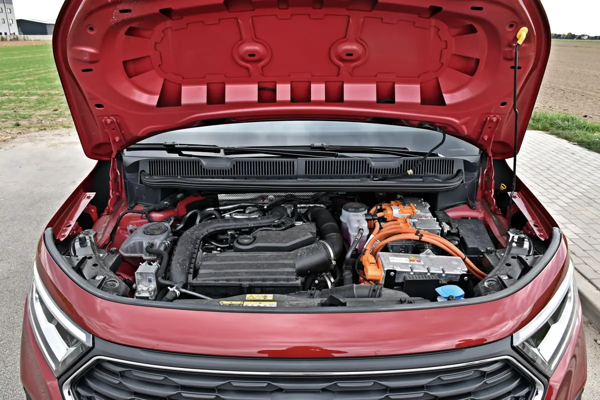 Ford Grand Tourneo Connect PHEV | Dla specyficznego klienta
