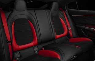 Mercedes-AMG GT 4-door Coupe oficjalnie