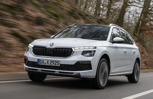 Skoda Scala, Kamiq i Fabia w wersji Easy