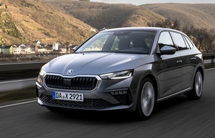 Skoda Scala, Kamiq i Fabia w wersji Easy