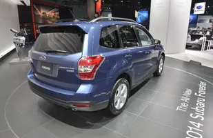 Zdjęcie 20