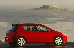 Peugeot 307. Płonące Auto Roku — zdjęcie 6