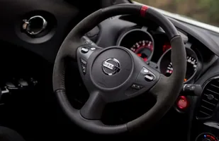 Nismo wchodzi do Europy — zdjęcie 7