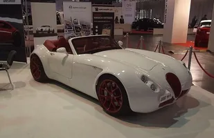 Zdjęcie 16