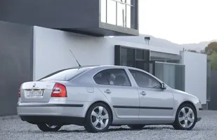 Zdjęcie 19