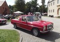 Zdjęcie 14