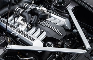 Ma już 10 lat. I wszyscy go pragną!