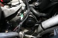 Zdjęcie 8