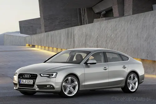 Zdjęcie 14