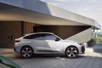Audi Q5 III Sportback TFSI MHEV Plus 204 KM