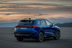 Audi Q5 SQ5 III 3.0 TFSI MHEV Plus 367 KM