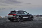 Audi Q6 SQ6 Quattro 489 KM